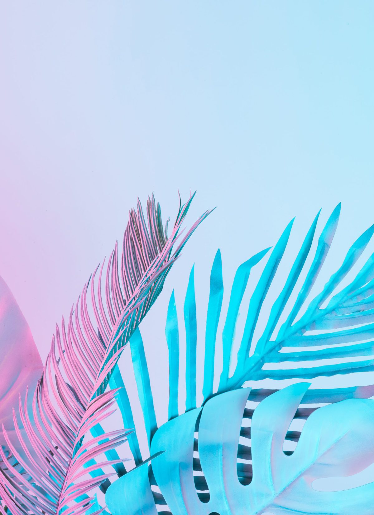 Tropical and palm leaves in vibrant bold gradient holographic colors. Concept art. Minimal surrealism.