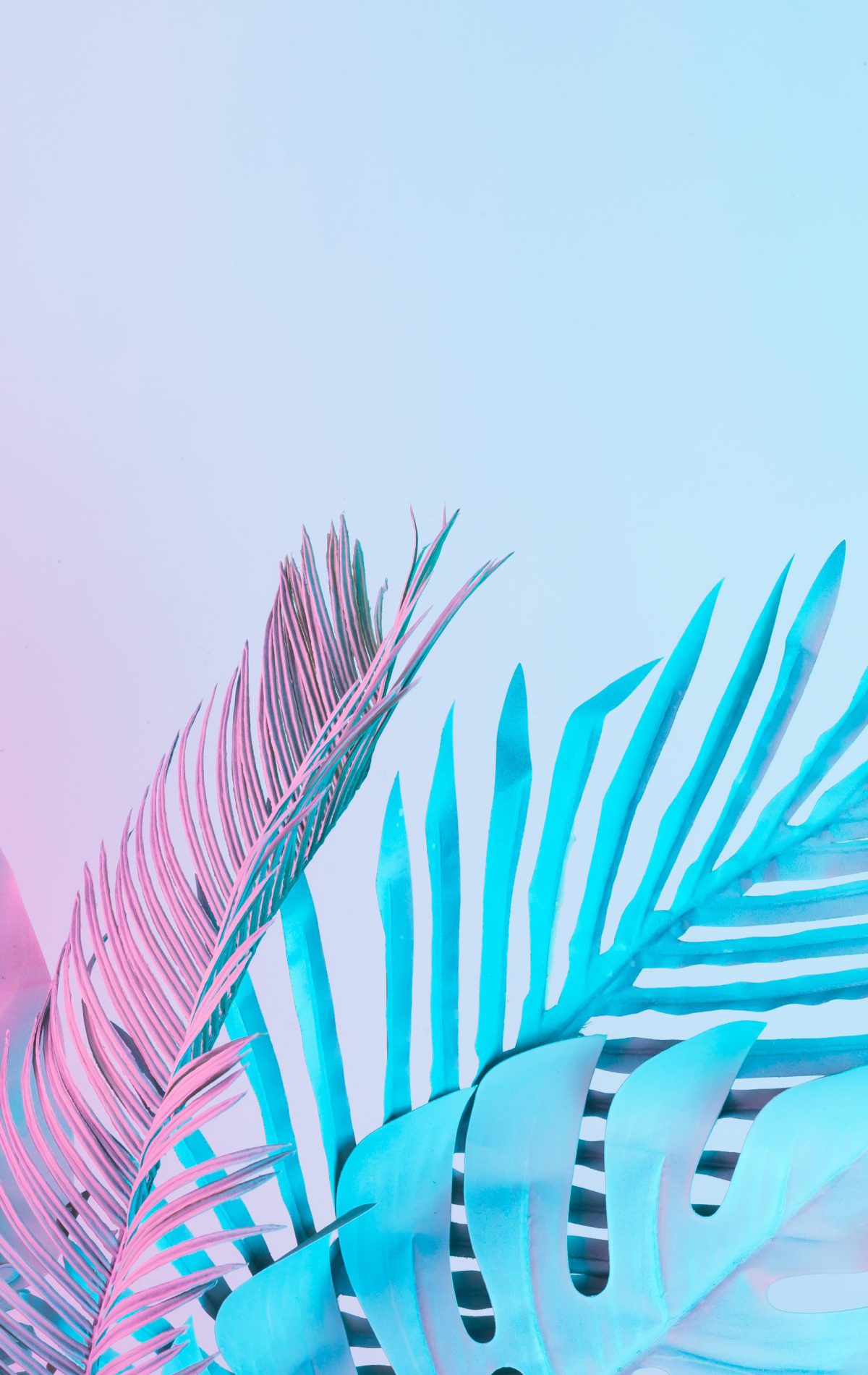 Tropical and palm leaves in vibrant bold gradient holographic colors. Concept art. Minimal surrealism.